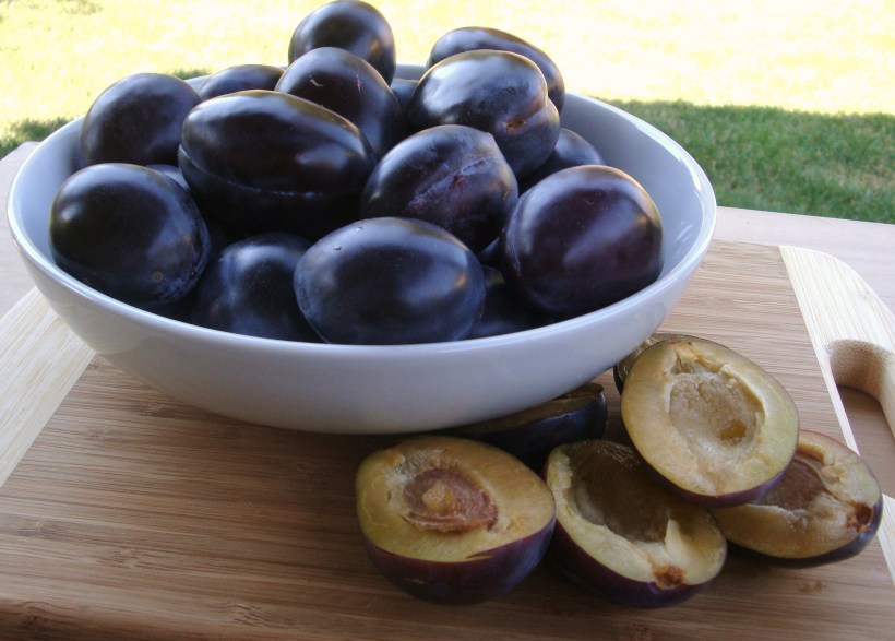 Italian Prune Plums